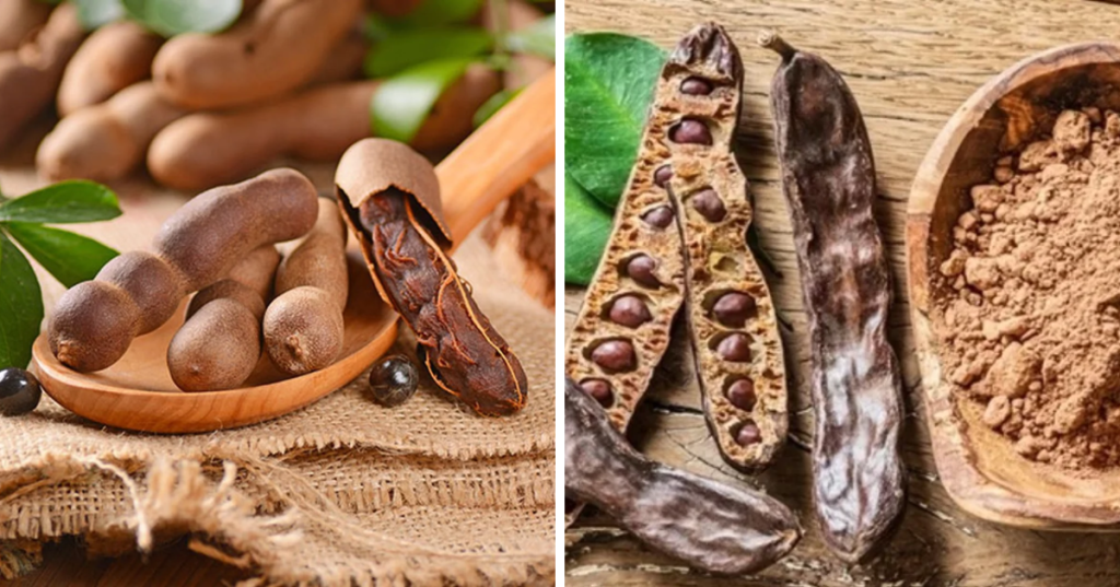 La imagen de la derecha es el fruto del algarrobo y la de la izquierda el del tamarindo.