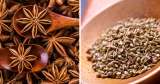 Diferencias entre el anís estrellado y el anís en grano: para qué sirven, usos y propiedades