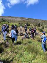 La educación ambiental transforma territorios, ¿cómo lo hace?