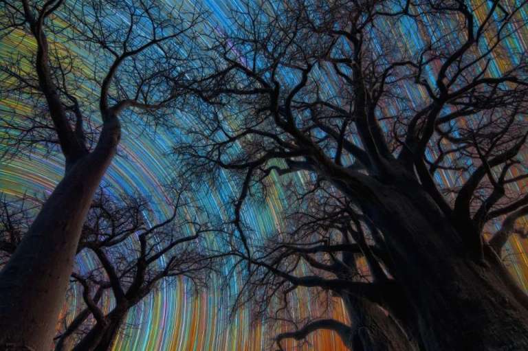 Categoría Paisajes celestes: Stefano Pellegrini se quedó con el primer lugar. Esta imagen fue tomada en Botsuana, donde la ausencia de contaminación lumínica realza las estelas de luz que dejan las estrellas.