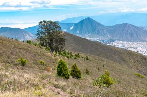 Un incendio en Quito dejó al descubierto un graderío inca de más de 500 años