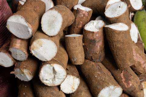 Diferencias entre la yuca y el ñame: ¿cuál escoger?
