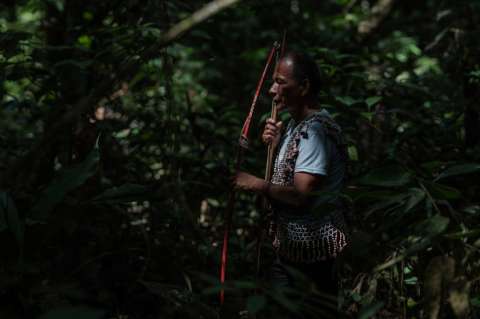 Colombia, una vez más, es el país donde más líderes ambientales asesinaron: Global Witness