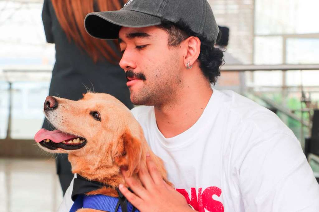 Así fue la adoptatón a ciegas en Medellín donde 67 perros y gatos encontraron hogar