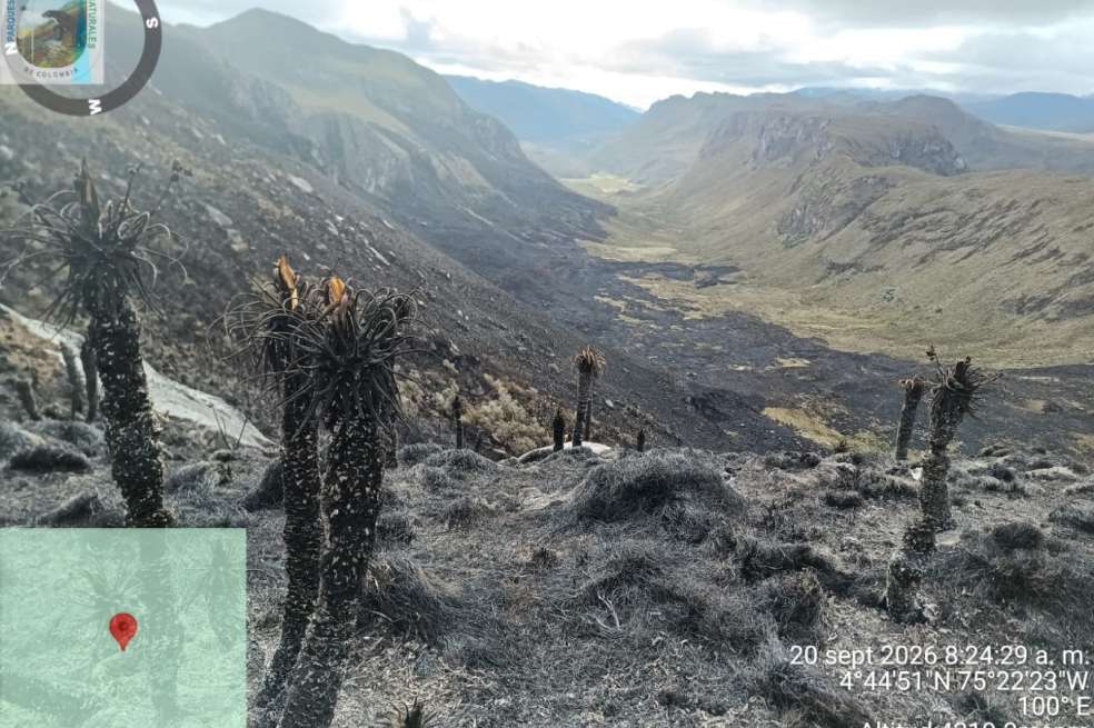 El incendio en el Parque Los Nevados afectó la vegetación de páramo en una de las zonas más distantes del parque.