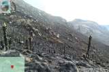 Incendio en el Parque Los Nevados fue apagado por guardaparques y campesinos