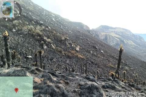 Incendio en el Parque Los Nevados fue apagado por guardaparques y campesinos