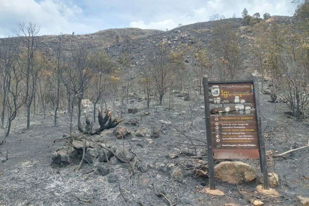 El Santuario de Fauna y Flora Iguaque, en Boyacá, ha sido uno de los más afectados por las llamas.