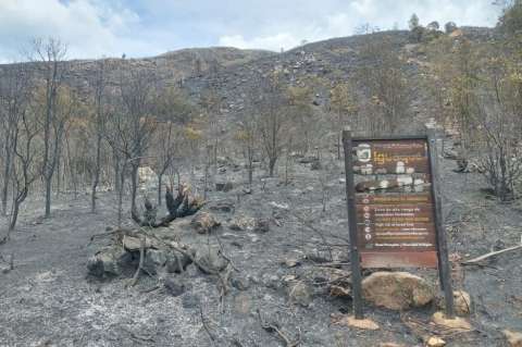 El incendio de Villa de Leyva amenazó mi comunidad: ¿Qué perdemos cuando se quema un páramo?