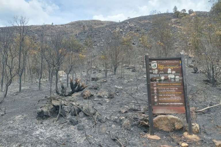 El Santuario de Fauna y Flora Iguaque, en Boyacá, ha sido uno de los más afectados por las llamas.