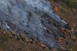 La radiografía del fuego en Colombia: así han ardido 13,9 millones de hectáreas en 26 años