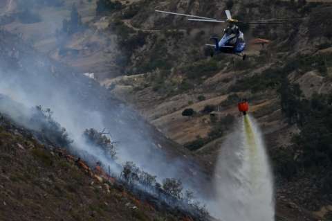 Incendios en Colombia: 312 municipios del país tienen algún nivel de alerta