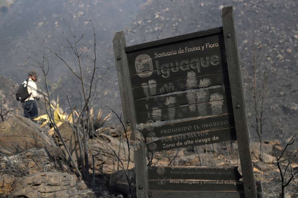 En redes sociales, algunos usuarios han reportado que el incendio aún no está controlado y que algunas zonas estratégicas y clave para la biodiversidad podrían estar en peligro, como el Santuario de Iguaque.