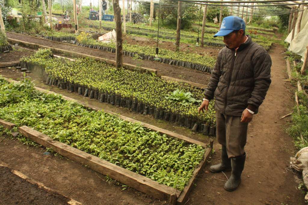 José Miguel Aza enseña el vivero de árboles nativos.