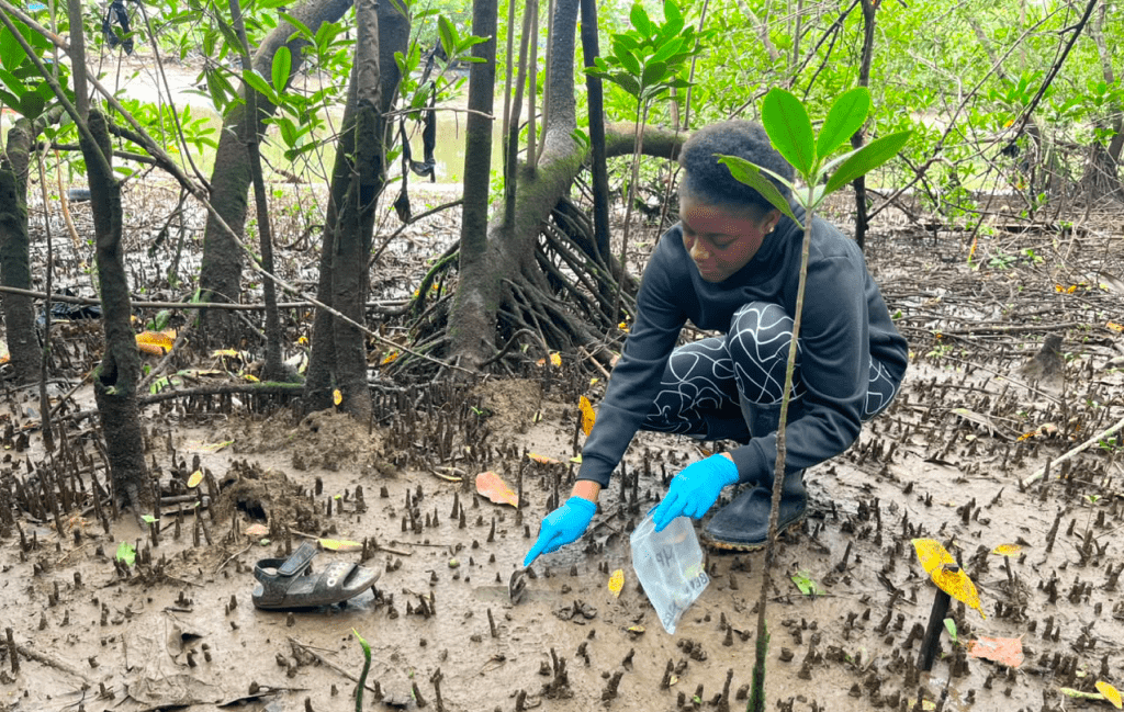 Integrante del Semillero Propágulos durante una jornada de muestreo de microplásticos en el ecosistema de manglar, como parte de sus actividades de formación e investigación sobre la contaminación de los ecosistemas costeros.