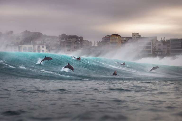 Fotógrafo de aventura del año.