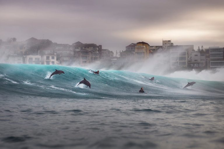 Fotógrafo de aventura del año.