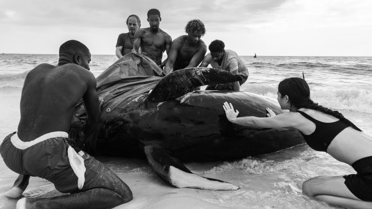 Premio «Human Connection»: People & Planet Ocean.
