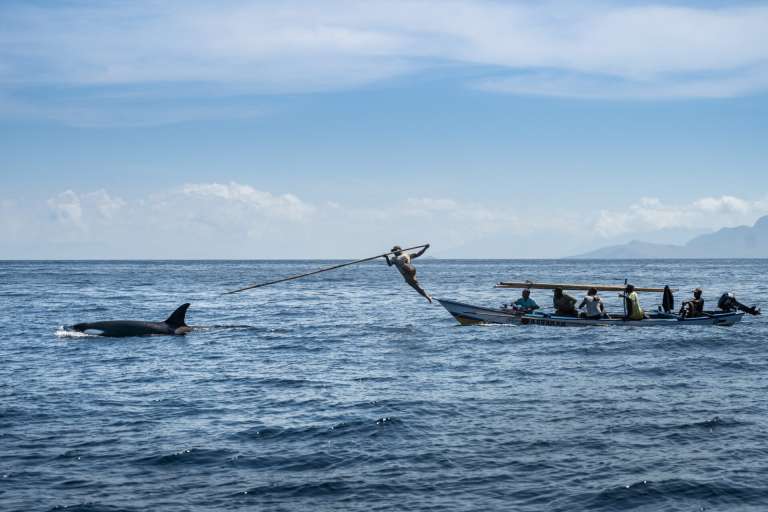 Ocean Photographer of the Year.