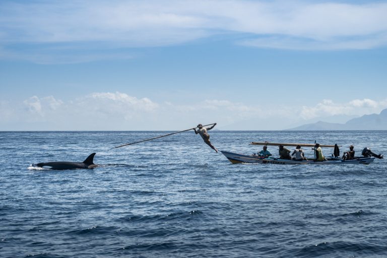 Ocean Photographer of the Year.