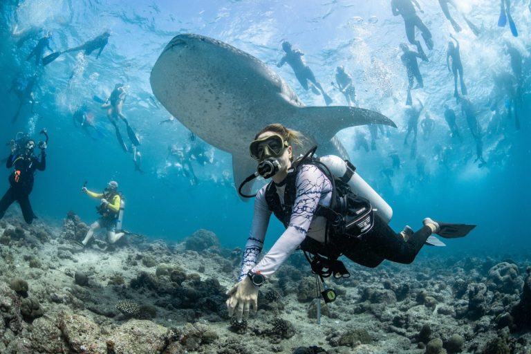 Fotógrafo del Año en Conservación (Impacto).