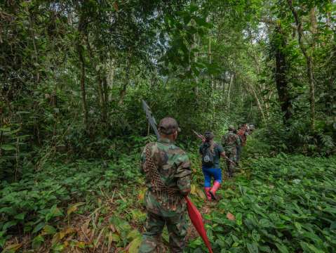En 2025, asesinaron 39 líderes ambientales en Colombia