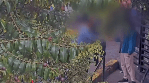 Capturan a hombre que se hacía pasar como cuidador de carros para vender drogas en Chapinero