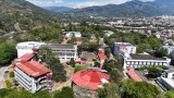 Una década de transformaciones: Universidad del Tolima rendirá cuentas ante la ciudadanía