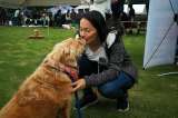 Conviértase en el amigo secreto de un perro o gato rescatado: así puede participar