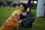 Conviértase en el amigo secreto de un perro o gato rescatado: así puede participar