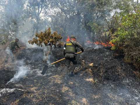 Incendio forestal en Guatapé consumió más de cinco hectáreas de bosque