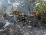 Incendio forestal en Guatapé consumió más de cinco hectáreas de bosque
