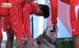 Once fue adoptada por un equipo de fútbol y se volvió su “amuleto” para ganar tras 15 años