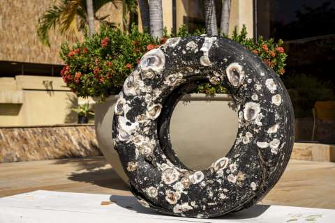 Sofía, la llanta viajera que cambió la manera de cuidar las playas de Santa Marta