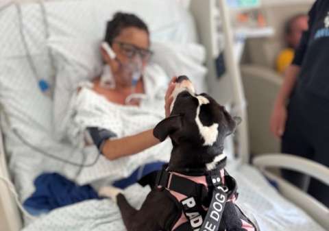 Padme se subió a un carro para no volver a la calle: hoy brinda calma a pacientes de una UCI