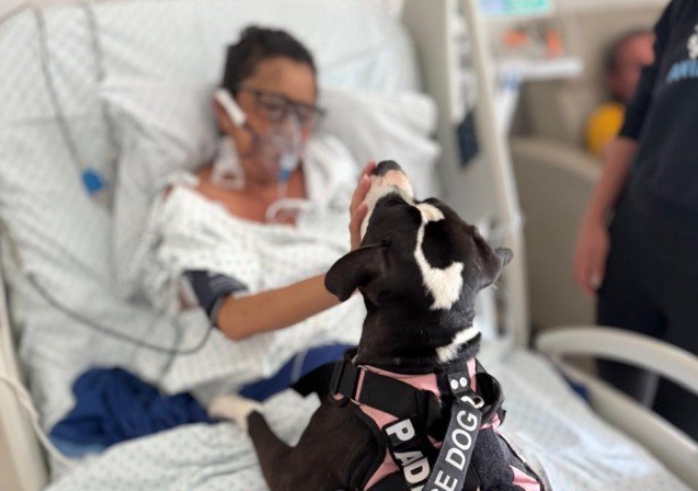 Padme se subió a un carro para no volver a la calle: hoy brinda calma a pacientes de una UCI