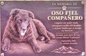 Soldados despiden con honores a Oso, el perrito que los acompañó durante 13 años