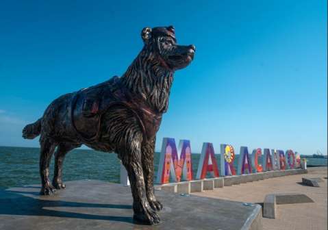Le hacen una estatua a Tsunami, el perro que ayudó a salvar vidas en Venezuela