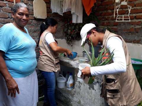 Oleadas de calor aumentan presencia de zancudos y elevan alerta por dengue en el Valle