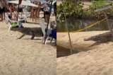 Avistan un caimán aguja en Cabo San Juan, una de las playas más conocidas del Tayrona