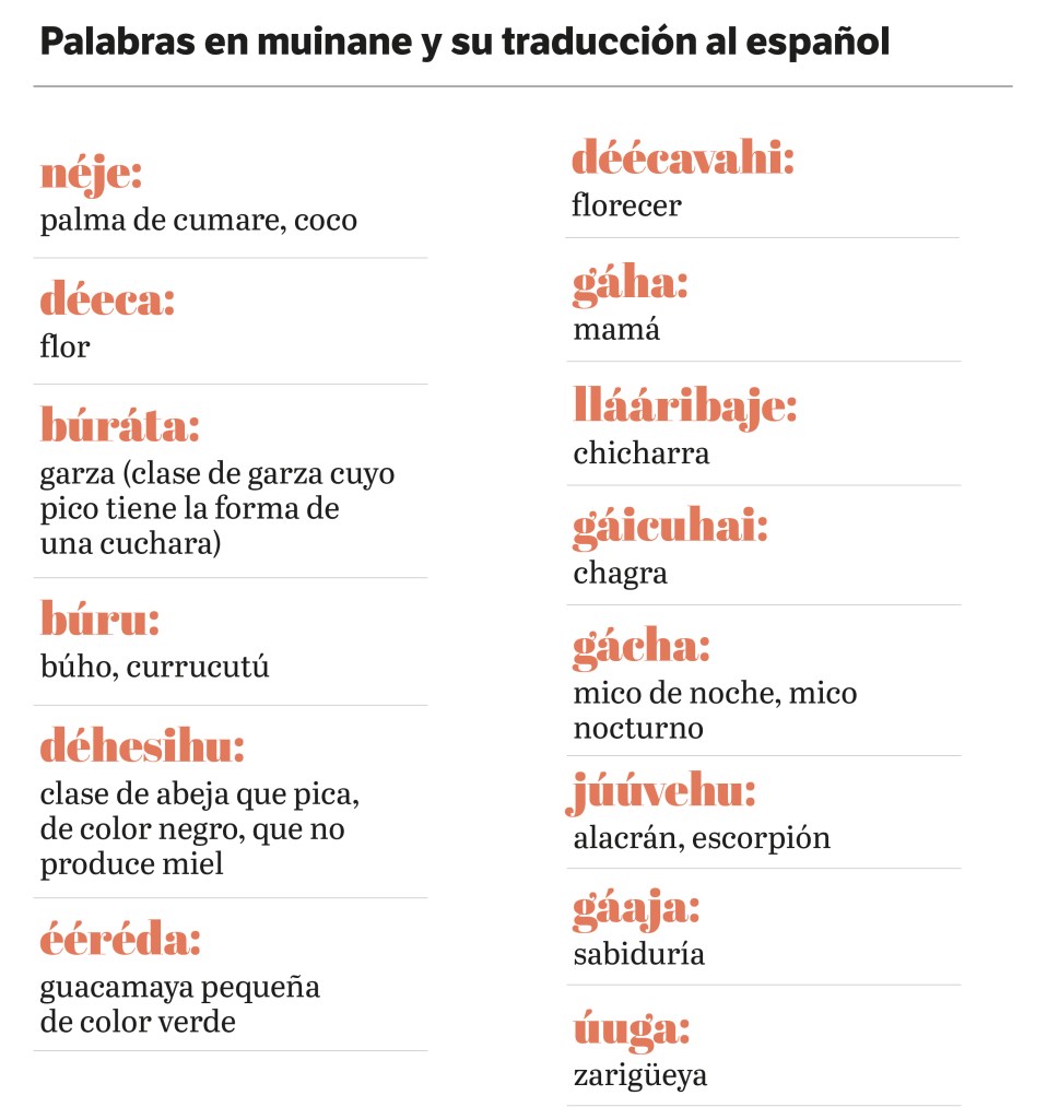 Palabras en muinane y su traducción al español