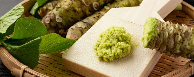 ¿De qué planta viene el wasabi, para qué sirve y dónde se consigue?