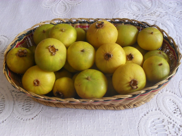 ¿Qué es la chamba, la fruta típica de Boyacá, y por qué se está volviendo popular?