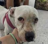 Lindsay sigue hospitalizada y necesita donaciones para continuar su tratamiento