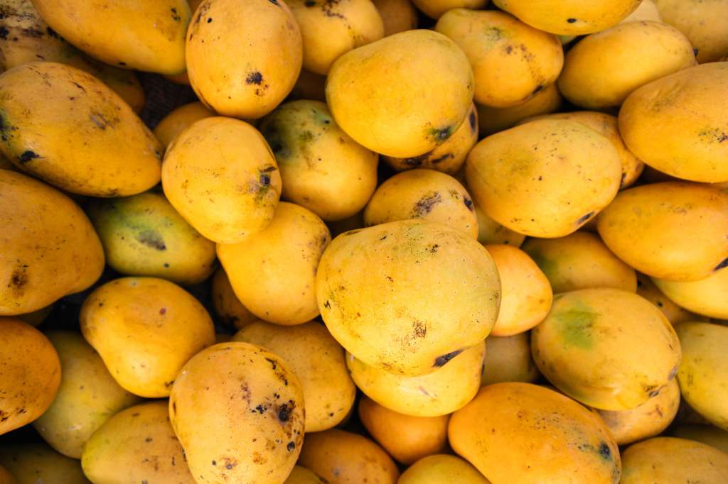 Los mangos son ricos en vitamina C y potasio.