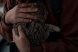 Gatita fue abandonada con una pata gravemente herida e infectada en Barranquilla