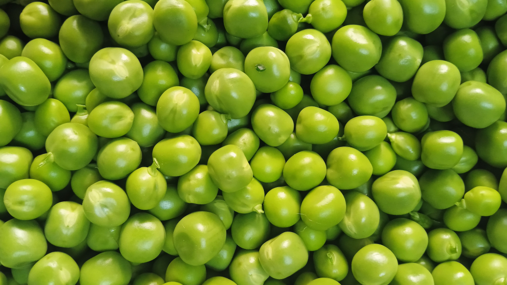 Las arvejas pueden consumirse frescas, congeladas, enlatadas o crudas.