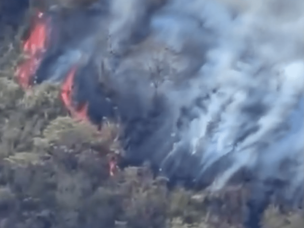 Incendios forestales en el norte de Caldas, cinco conflagraciones afectan dos municipios