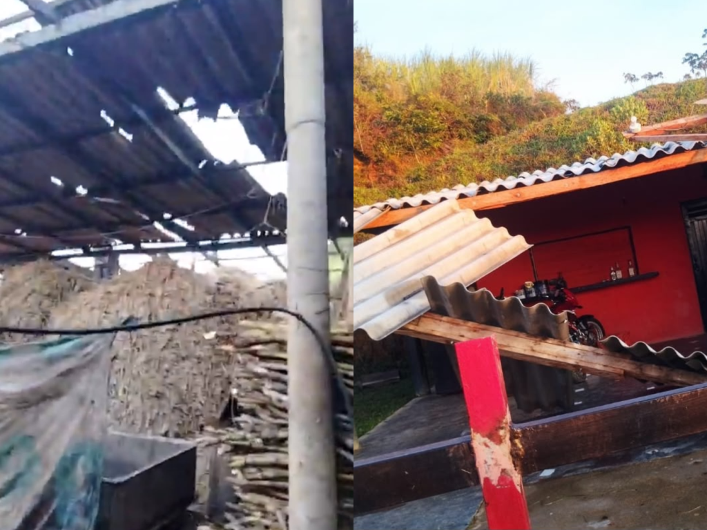 Daños en las cubiertas de las casas y trapiches