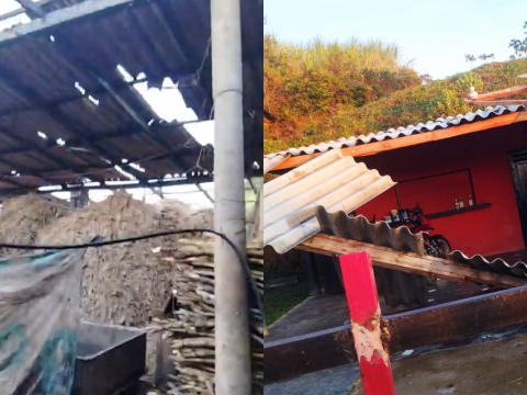Vendaval dejó 28 familias afectadas y daños en 11 trapiches en Campamento, Antioquia